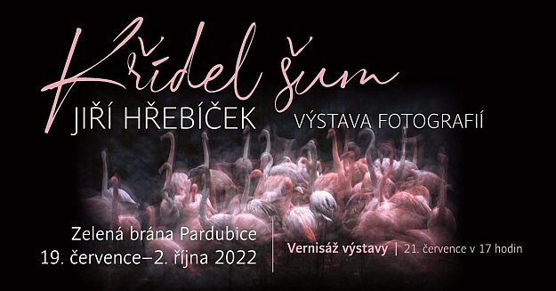 Jiří Hřebíček - Křídel šum