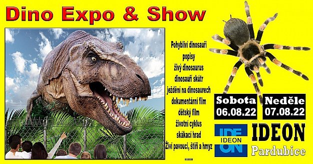 Dino Expo & Show & Spiders