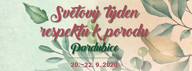 Zdravé dítě v netoxické péči - Pavlína Pavlištová