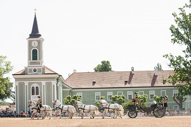 Den starokladrubského koně