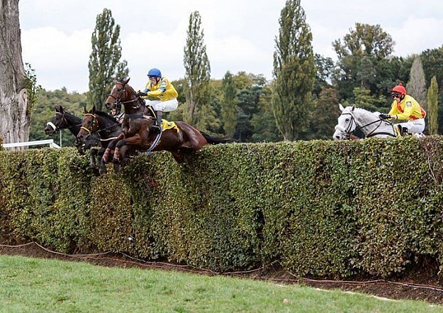 131. Velká pardubická se Slavia pojišťovnou