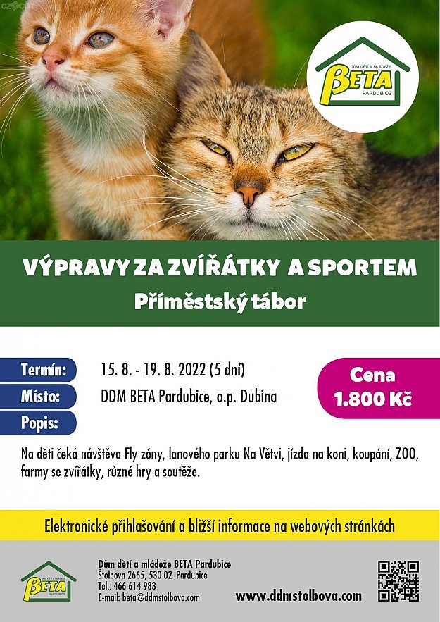 Výpravy za zvířátky a sportem