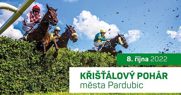 Křišťálový pohár města Pardubic
