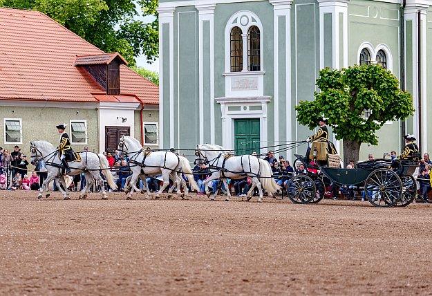 Den starokladrubského koně 2023