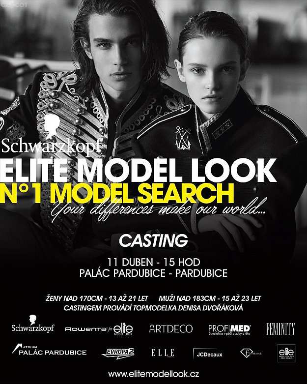 Schwarzkopf Elite Model Look