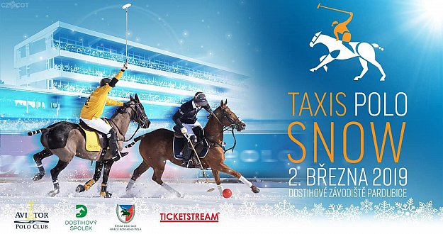 Taxis Snow Polo 2019