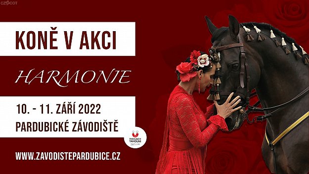 Koně v akci - Harmonie