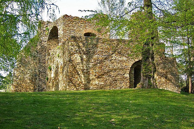 Svojšice - castle ruins