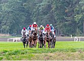 Pardubice Racecourse