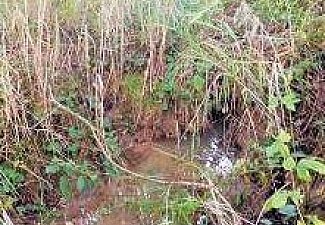 Lipoltická svodnice - spring