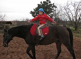 Marko Equestrian Stable