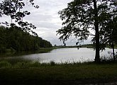 Bohdanečský Lakes - education trail and nature preserve