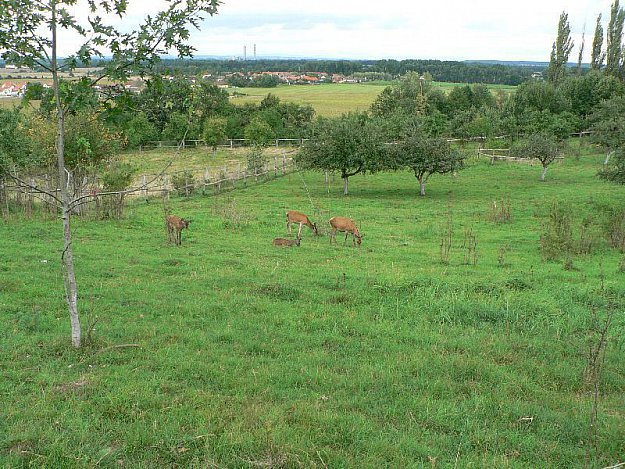 Restaurant below Kunětická Mountain - enclosure