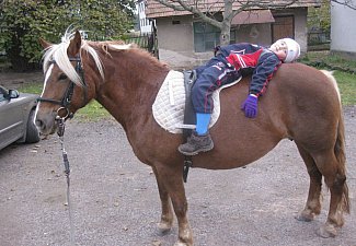 Marko Equestrian Stable