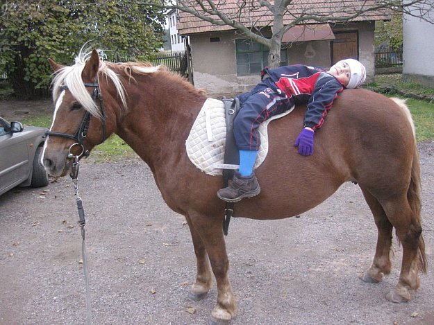 Marko Equestrian Stable