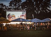 Pardubice summer cinema