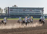 Pardubice Racecourse