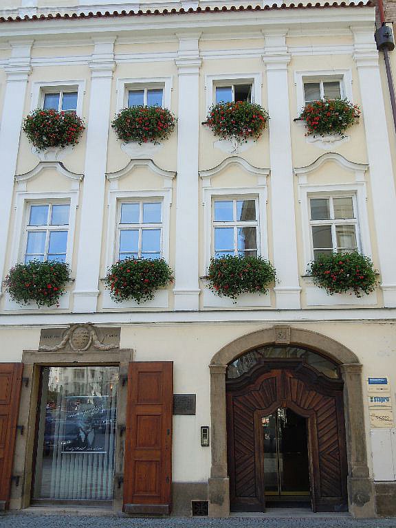 Fons Beneficial Gallery