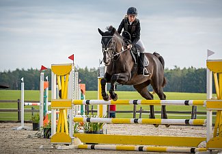 Dolní Jelení Equestrian Stable