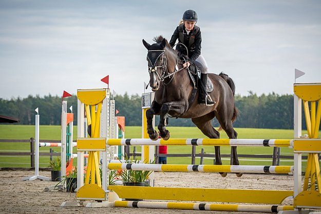 Dolní Jelení Equestrian Stable