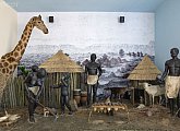 African Museum of Dr. Emil Holub