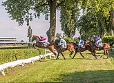 Pardubice Racecourse