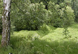 Na Hradech - nature preserve