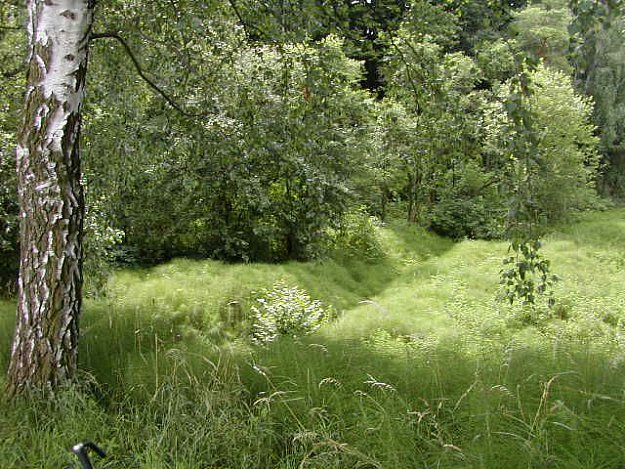 Na Hradech - nature preserve