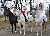 Equestrian Club of the Secondary School of Horse Breeding and Horse rriding in Kladruby nad Labem