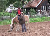 Marko Equestrian Stable