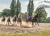 Pardubice Racecourse