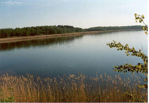 Bohdanečský Lakes - education trail and nature preserve