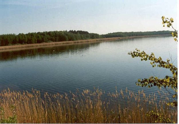 Bohdanečský Lakes - education trail