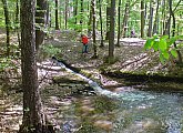 Pernstein Ponds educational trail