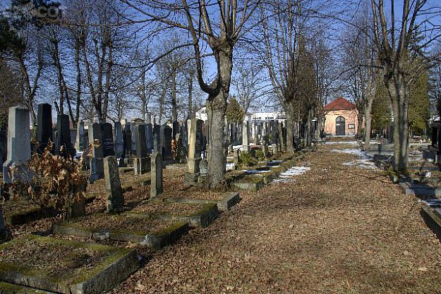 Pardubice - Jewish cemetery