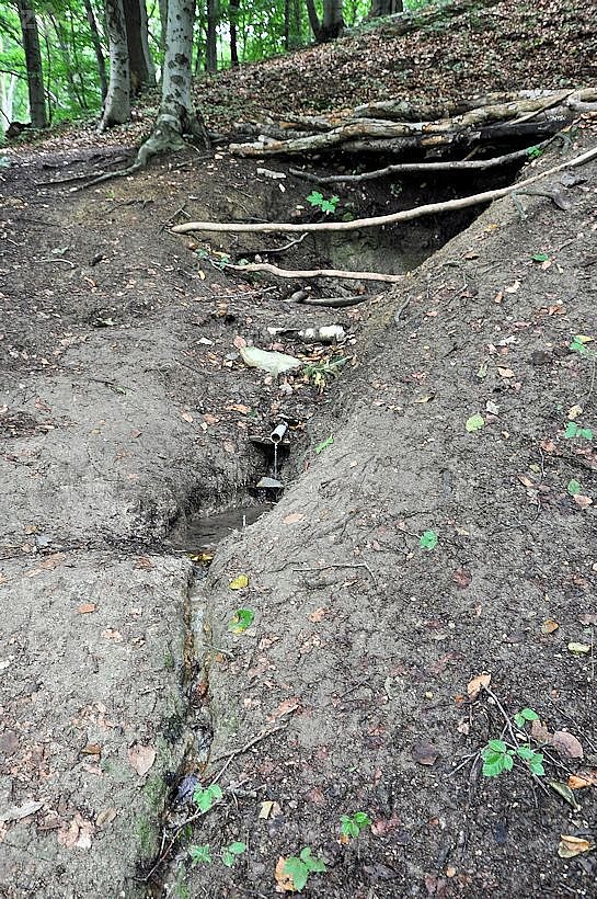 Na Hradech - well, source in danger