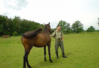 Elektrovasury Riding Centre