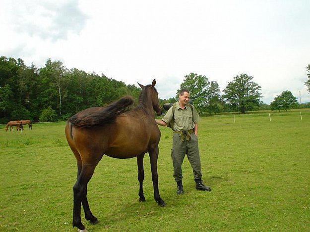 Elektrovasury Riding Centre