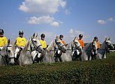 Equestrian Club of the Secondary School of Horse Breeding and Horse rriding in Kladruby nad Labem